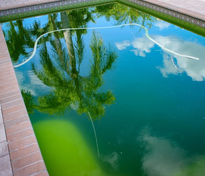 Green pool